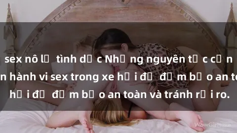 sex nô lệ tình dục Những nguyên tắc cần nhớ khi thực hiện hành vi sex trong xe hơi để đảm bảo an toàn và tránh rủi ro.